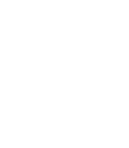 Logo Hult Prize